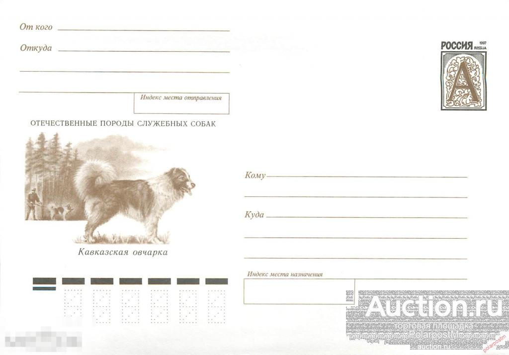 Россия 1999 792 (99-056) Отечественные породы служебных собак. Кавказская овчарка. 