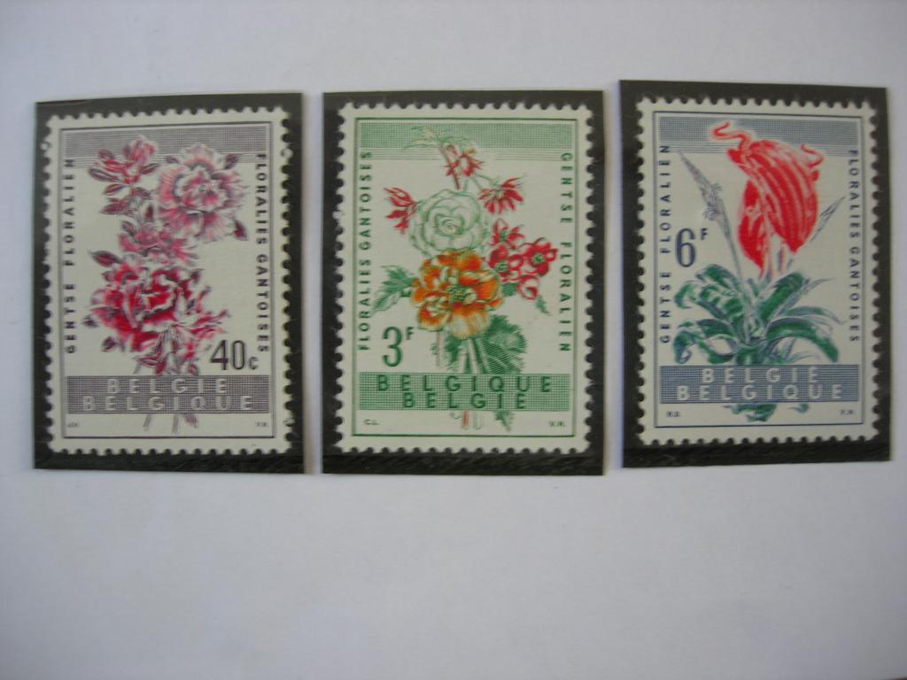 Бельгия 1960 флора: цветы   MNH