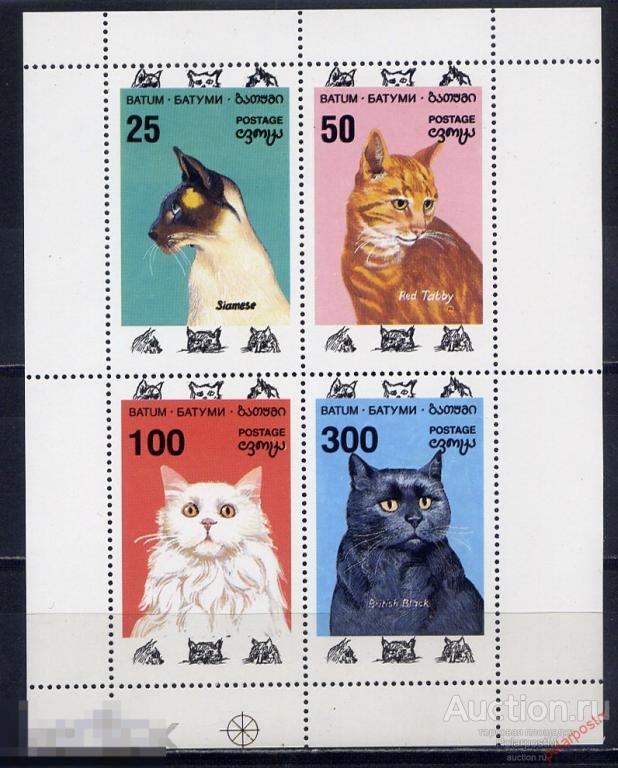 БАТУМ 1992 домашние кошки (ФАНТАСТИЧЕСКИЙ ВЫПУСК) 