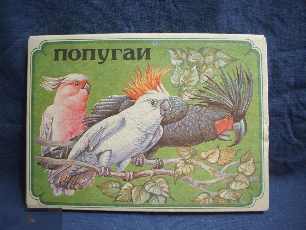 Набор спичек  Попугаи СССР 