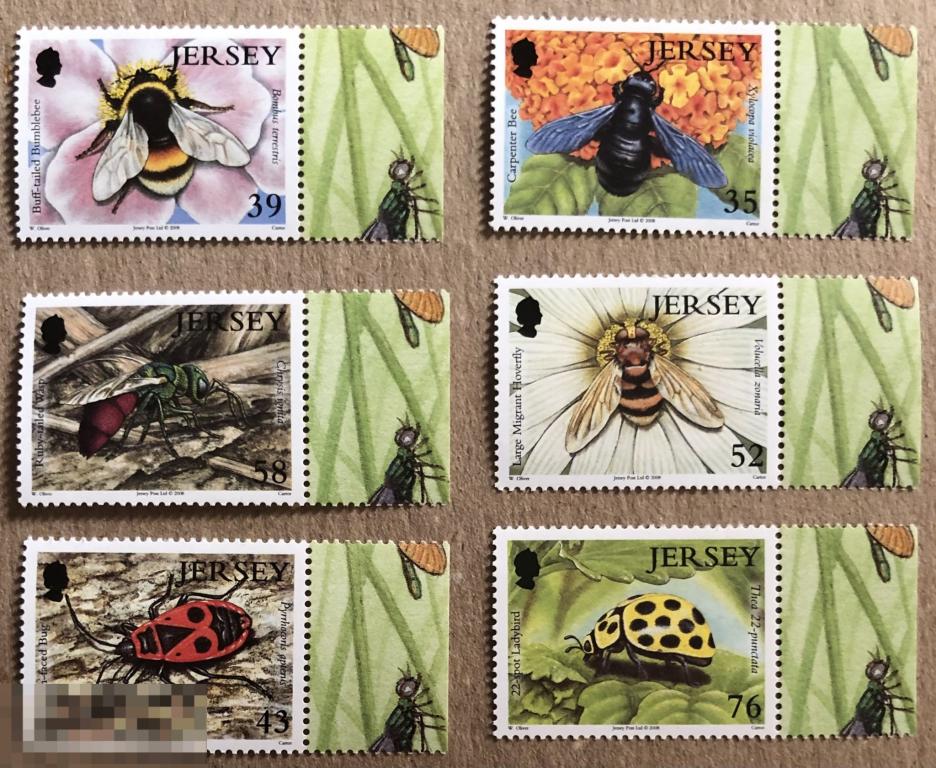 2008. Джерси. Насекомые. Полная серия. MNH. 