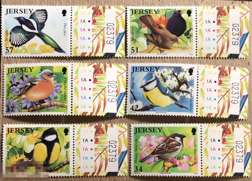 2007. Джерси. Фауна. Птицы. Полная серия. MNH. 