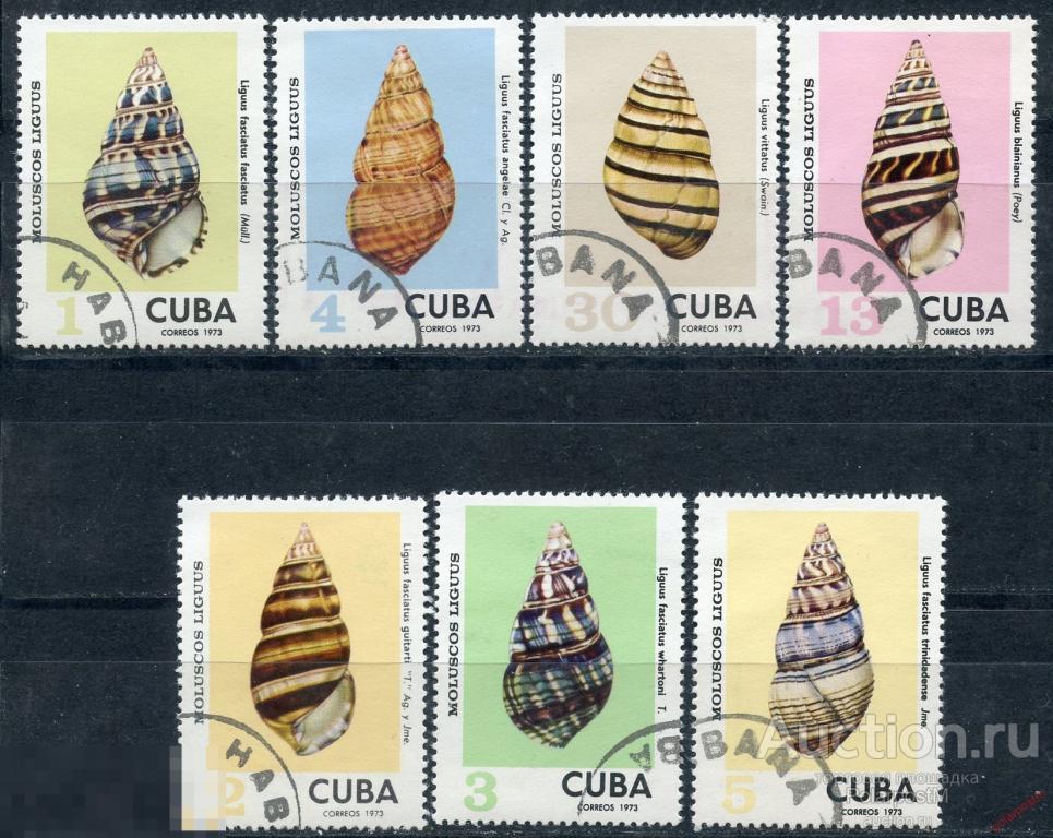 Y85 КУБА 1973 1918-1924 моллюски. Раковины. Морская фауна 
