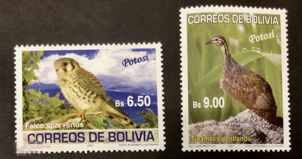 2007. Боливия. Фауна. Птицы Боливии. Потоси. Полная серия. MNH. 