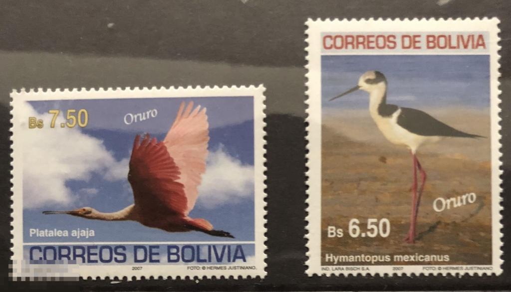 2007. Боливия. Фауна. Птицы Боливии. Полная серия. MNH. 