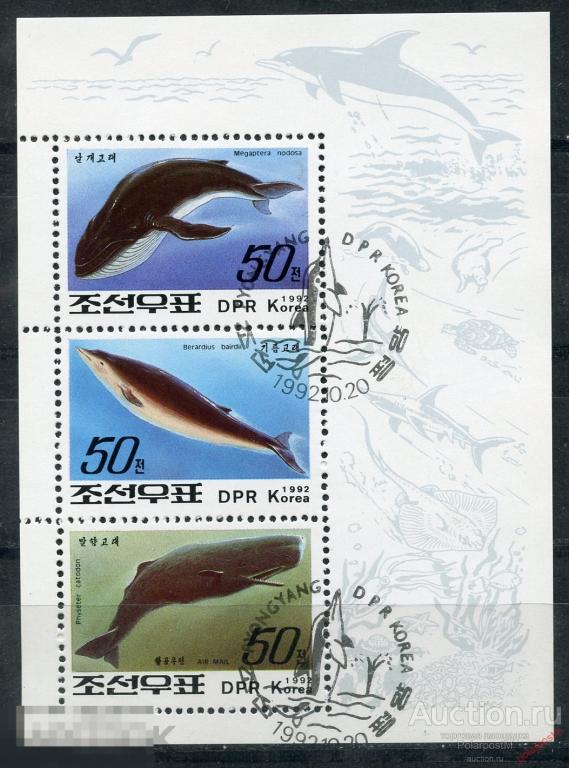 КНДР (СЕВЕРНАЯ КОРЕЯ) 1992 3357-3359 Киты. Дельфины. Морская фауна 