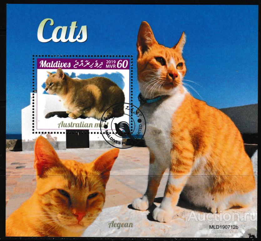 Мальдивы 2019 Кошки Кошачьи Домашние животные блок, гашёный