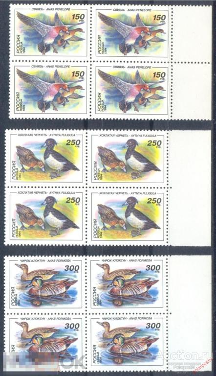 Е150 РОССИЯ 1994 170-172 Утки. Птицы 