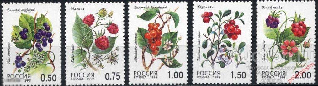 Е150 РОССИЯ 1998 447-451 Флора. Лесные ягоды. 