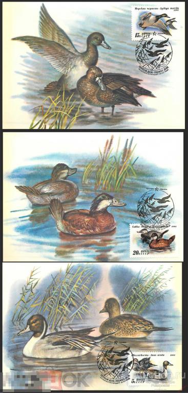FDCs. СССР 1991 SK№6268-6270 (6334-6336) УТКИ 