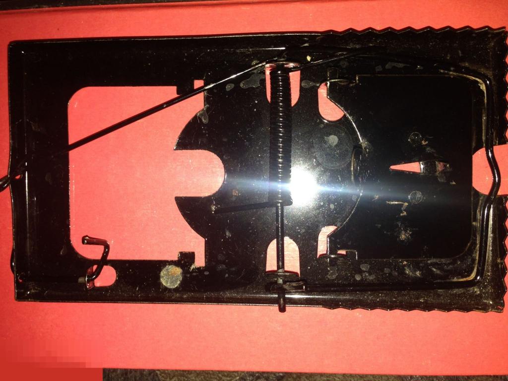 Мышеловка  металл размер 16 х 9 см 