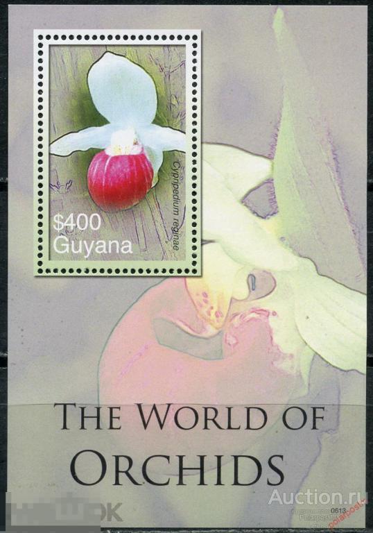 E150 ГАЙАНА 2007 7901 (BL.812) Цветы. Флора Орхидеи 
