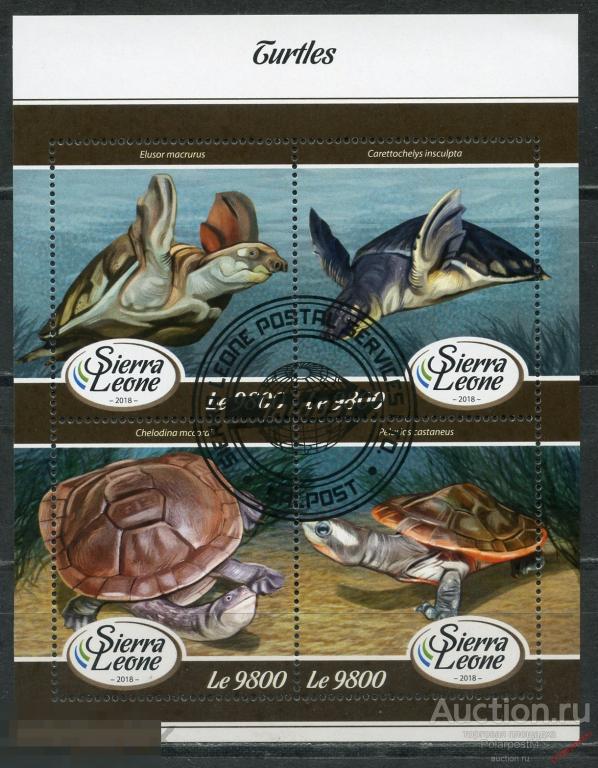 Сьерра-Леоне 2018 SL004 Фауна - Черепахи 