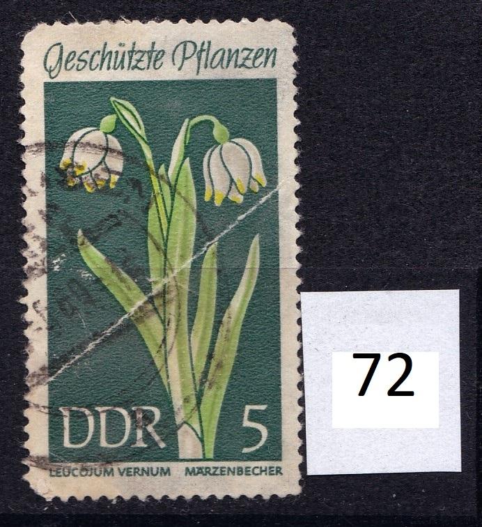 ГДР. 1969 год. Флора. Цветы.