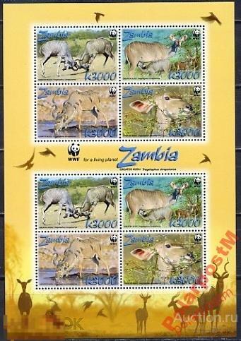 КР 11-1 ЗАМБИЯ. WWF 