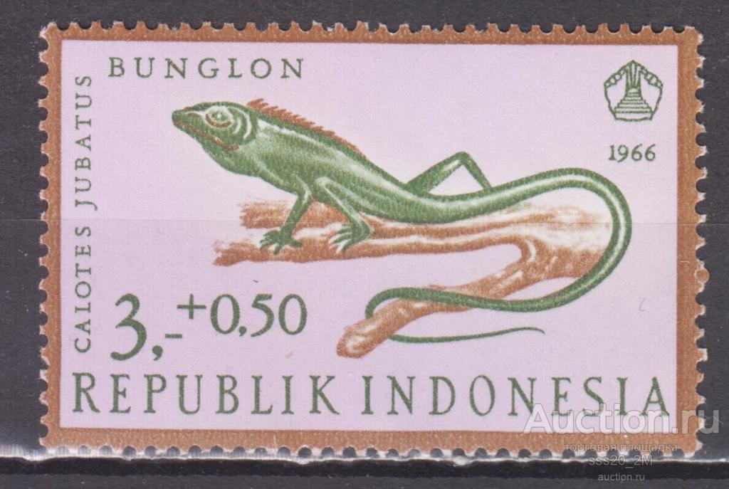 Индонезия 1966 ящерица гривистый калот Mi559 MNH