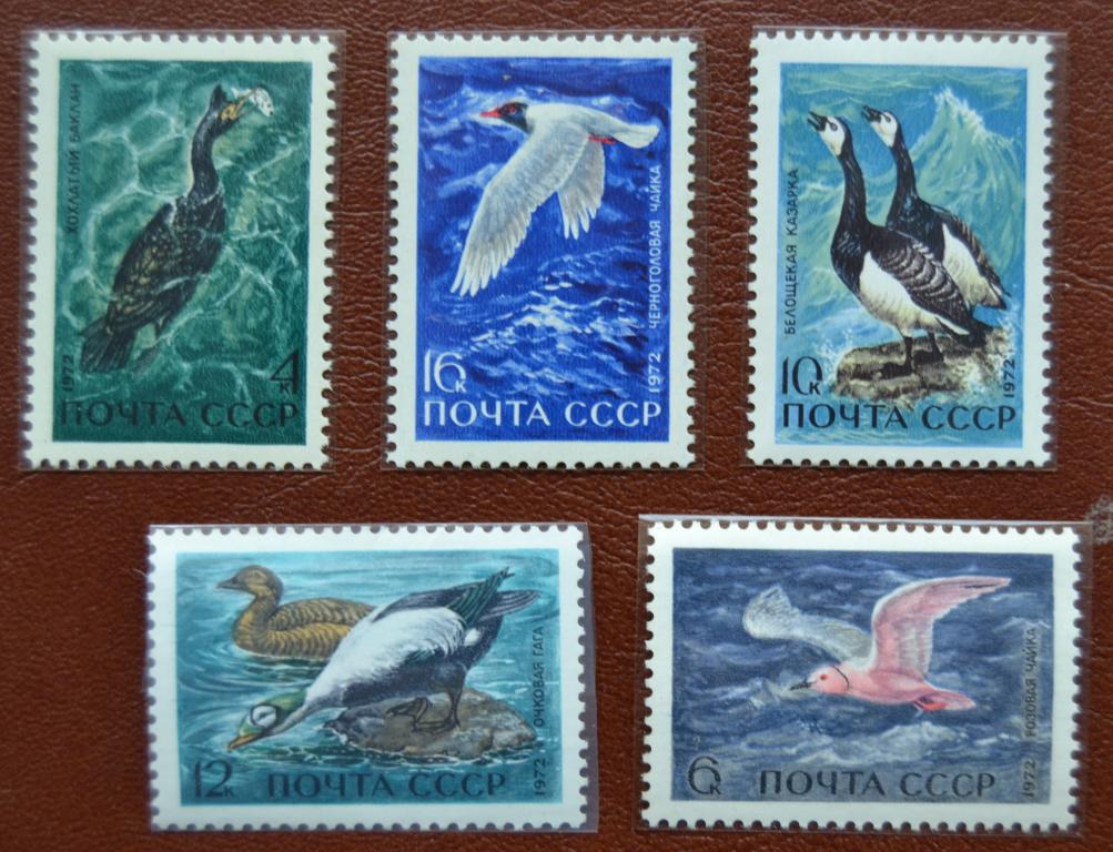 СССР 1972 год  Фауна. Водоплавающие птицы - MNH @