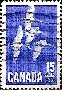 Канада 1963 MiNr 357 (0.3€) Стандарт. Канадский гусь. U