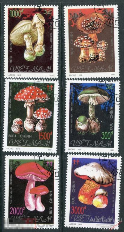 Y85 ВЬЕТНАМ 1991 2275-2280 Ядовитые грибы. Растения. Флора 