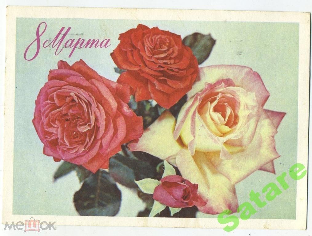 8 Марта - Дергилев И - 1975 год (27-2)