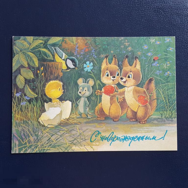 1992 год ПК открытка Зарубин с новорождённым белочка цыплёнок вылупился 1991 чистая