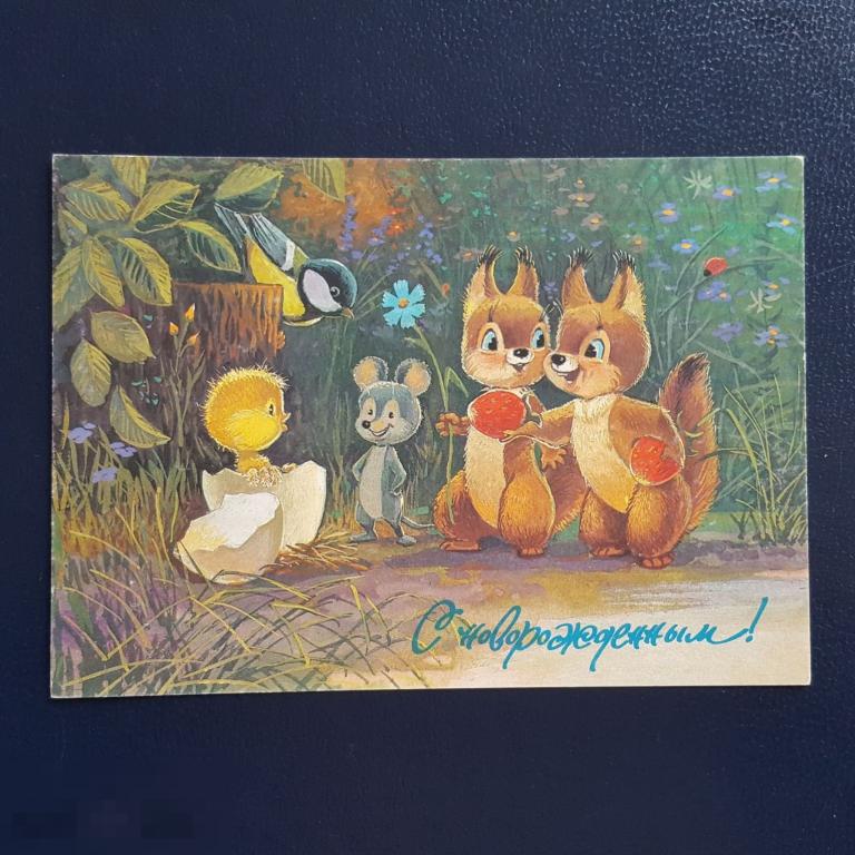1992 год ПК открытка Зарубин с новорождённым белочка цыплёнок вылупился 1991 чистая