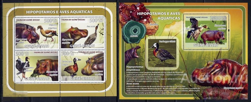 КР-10-2 ГВИНЕЯ-БИССАУ 2008 ФАУНА ПТИЦЫ УТКИ БЕГЕМОТЫ 