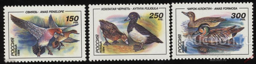 Y85 РОССИЯ 1994 170-172 Утки. Птицы 