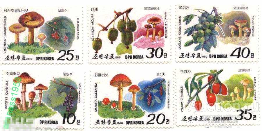 Северная Корея КНДР Чистые марки Флора Грибы 1989 