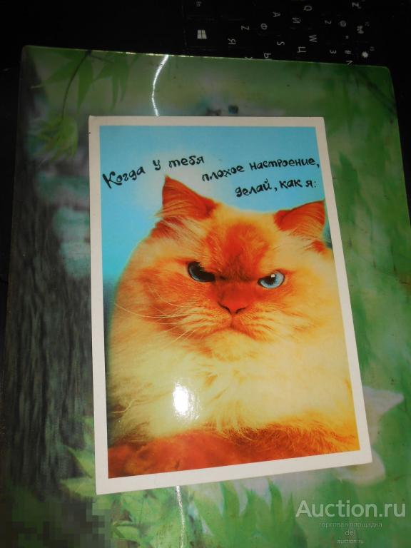 когда у тебя плохое настроение, кот, открытка, большая, Турция, ретро 