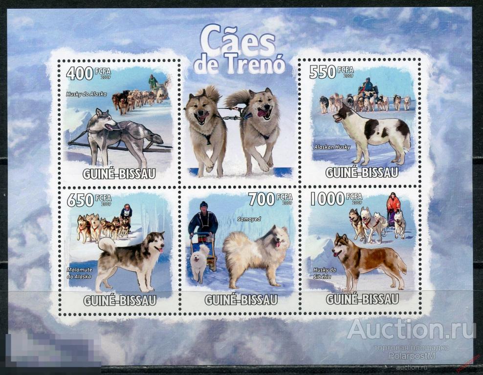 AM40 ГВИНЕЯ-БИСАУ 2009 GB307 Фауна. Ездовые собаки 