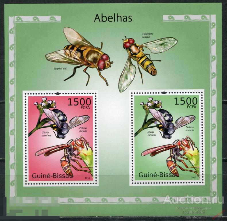 AM40 ГВИНЕЯ-БИСАУ 2010 GB317 Фауна – Осы. Насекомые 