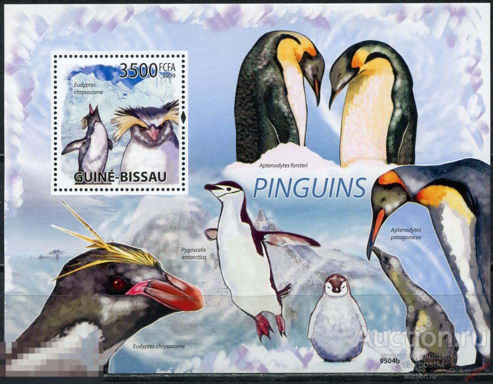 AM40 ГВИНЕЯ-БИСАУ 2009 GB302 Фауна Птицы - Пингвины. Антартида 