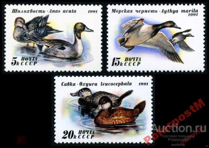 СССР 1991 SK№6268-6270 (6334-6336) УТКИ №1 