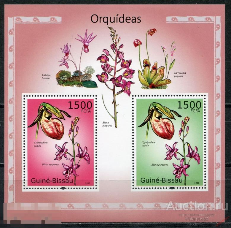 AM40 ГВИНЕЯ-БИСАУ 2010 GB302 Цветы. Флора. Орхидеи 