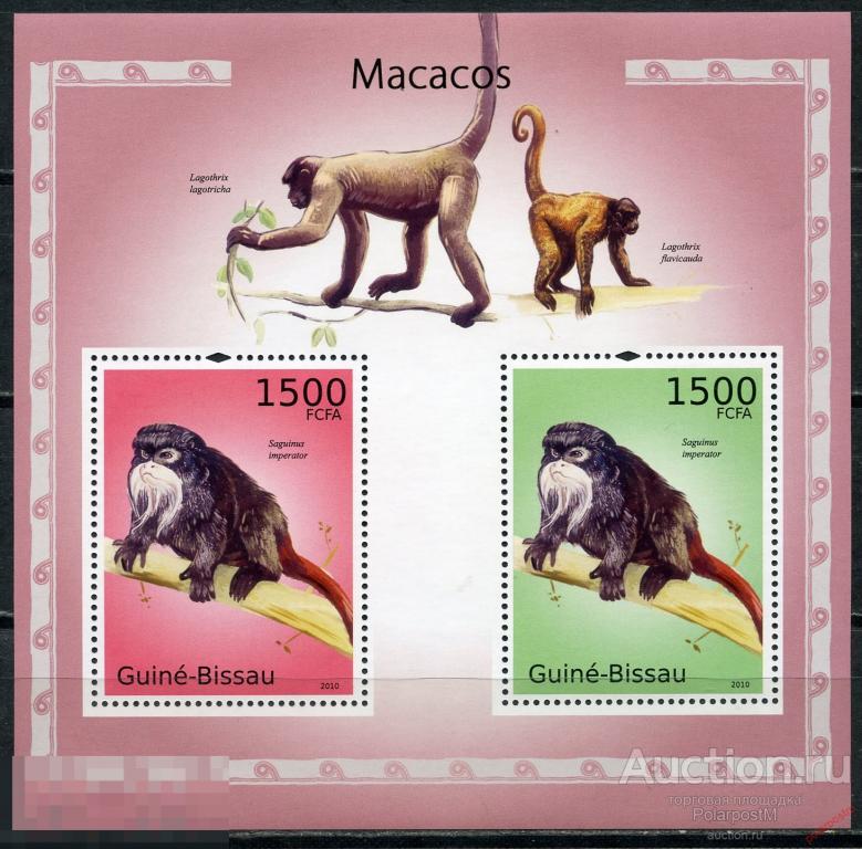 AM40 ГВИНЕЯ-БИСАУ 2010 GB310 Фауна – Макаки. Приматы. Обезьяны 