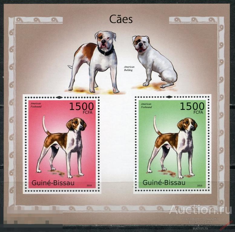 AM40 ГВИНЕЯ-БИСАУ 2010 GB319 Фауна. Собаки 