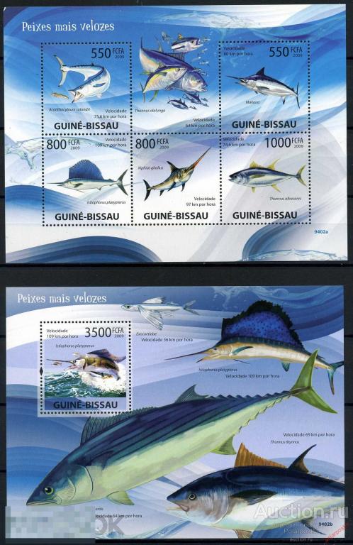 ГВИНЕЯ-БИСАУ 2009 GB206 Фауна . Рыбы. Морская жизнь 