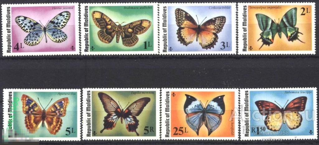Butterflies 1975. Бабочки (1975)
