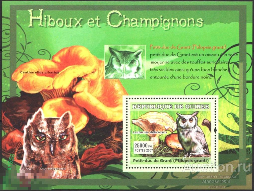 Гвинея Чистый блок Эл Гор Фауна Птицы Совы Медведи 2007 