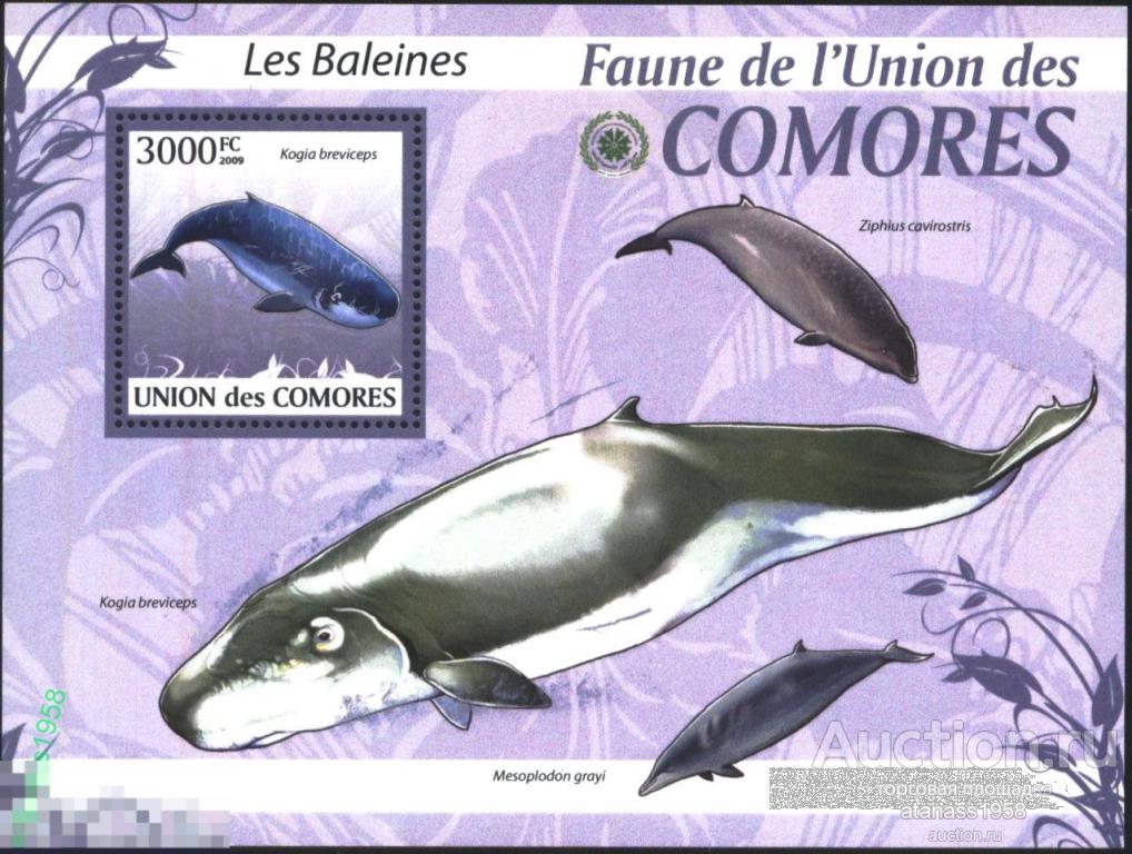 Коморы Коморские острова  Чистый блок  Морская Фауна Киты 2009 