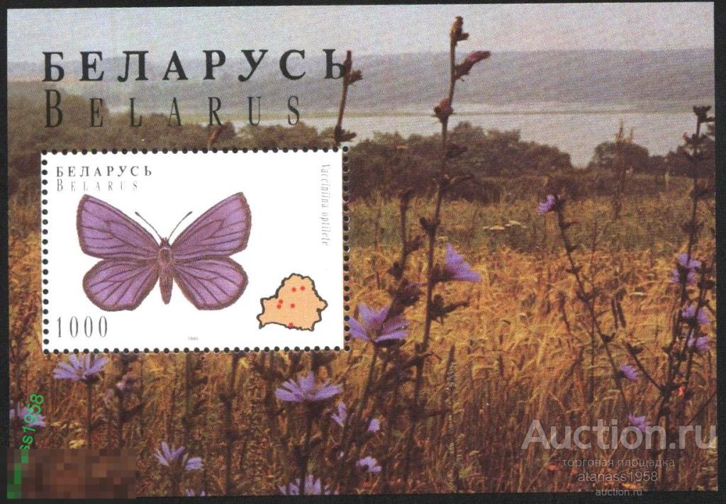 Беларусь Чистый блок Фауна Бабочки 1996 