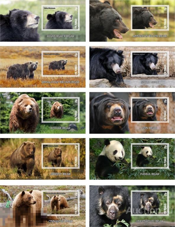 Тонго Чистые блоки Фауна Медведи 2010 