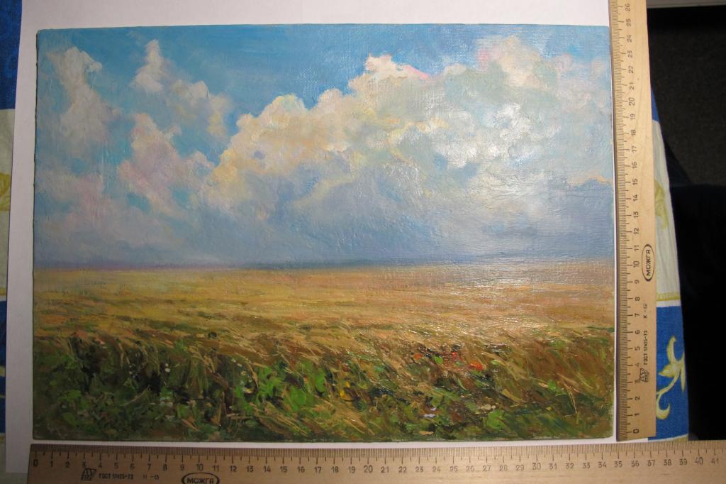 картина Поля летние,картон,масло,НХ