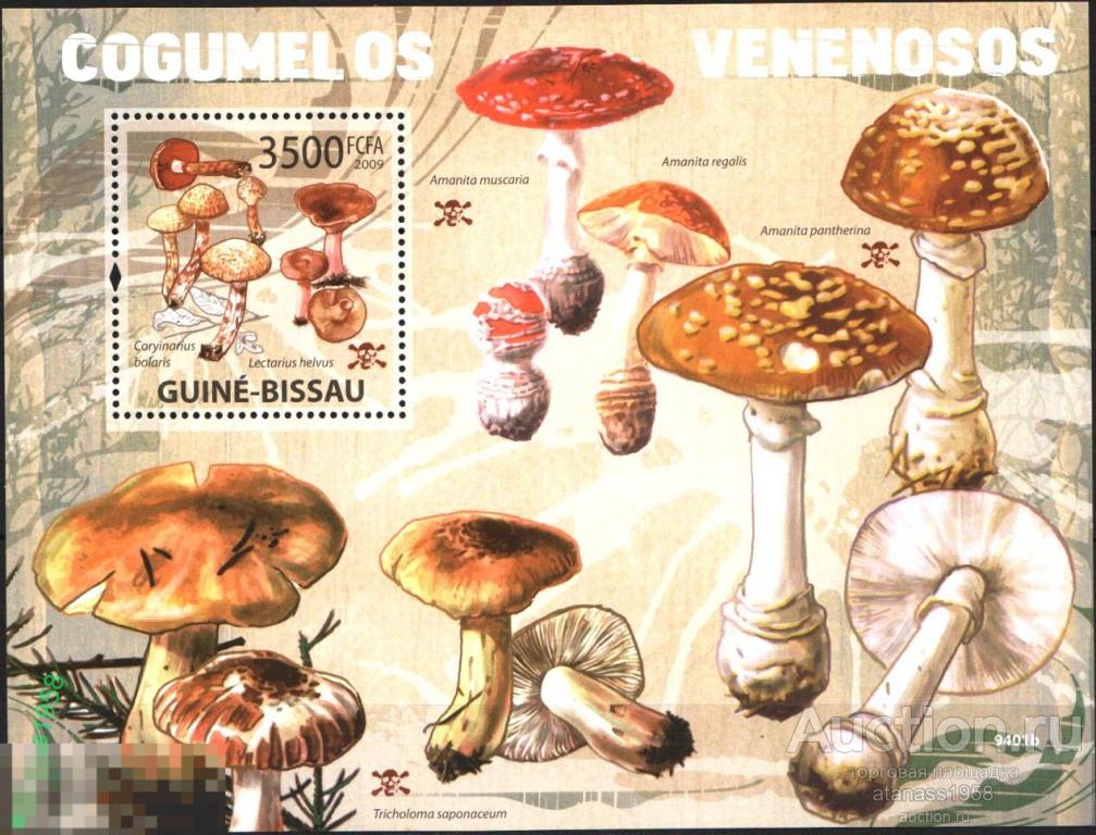 Гвинея -Биссау Чистый блок Флора  Грибы 2009 