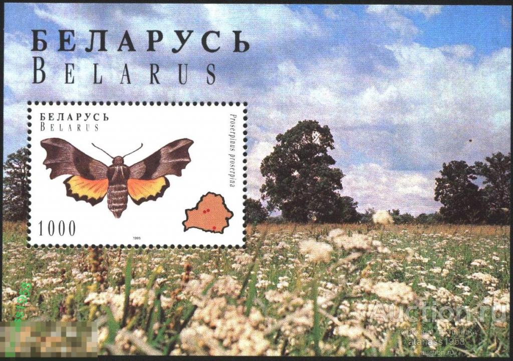 Беларусь Чистый блок Фауна Бабочки 1996 
