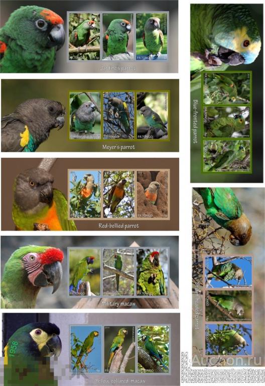 Тонго Чистые блоки  Фауна  ПТИЦЫ ПОПУГАИ  Ара  Какаду  2010