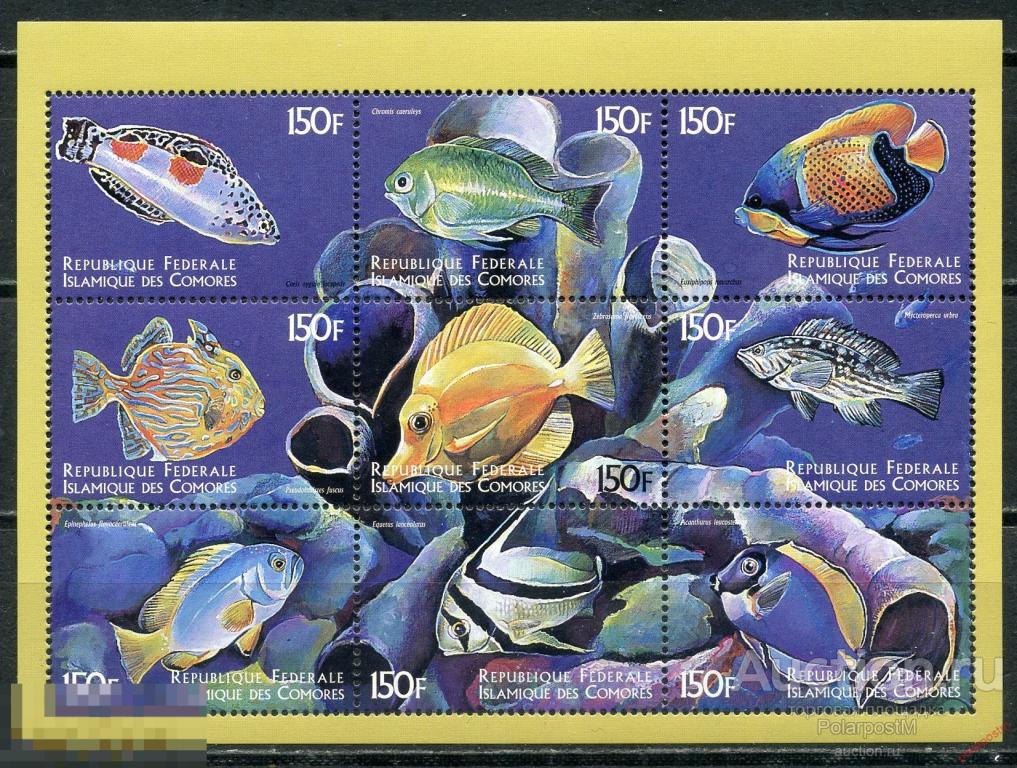 AM40 Коморские острова 1999 1521-1529 Морская жизнь. Рыбы 