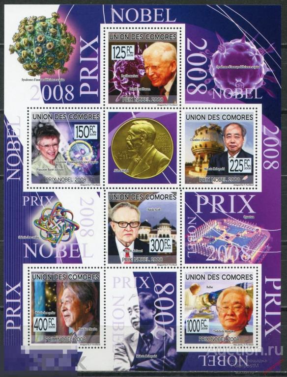 AM40 Коморские острова 2009 KU023 Лауреаты Нобелевской премии 2008 г. 