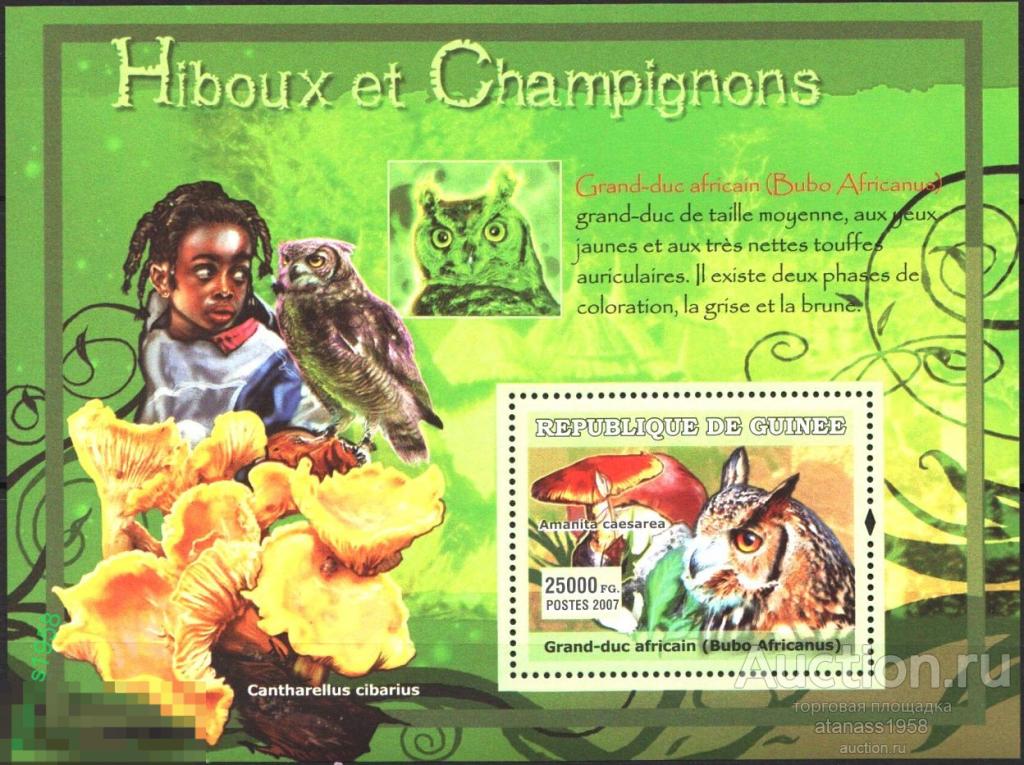 Гвинея Чистый блок Фауна Птицы Совы и Флора Грибы 2007 